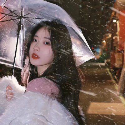巴德美因霍夫