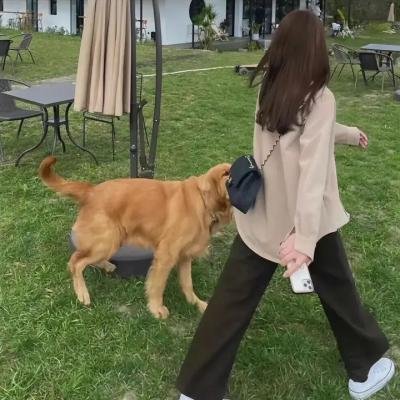 舞出一片天2